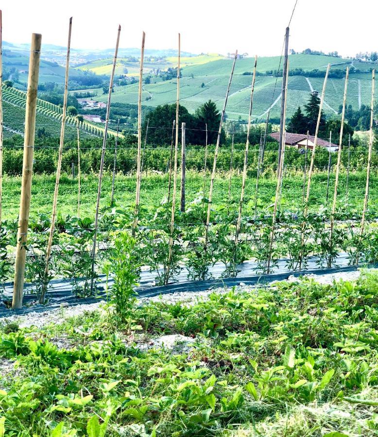 Pensjonat Miaclara Relais Alba  Zewnętrze zdjęcie